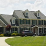 bush, after, oasis, loveland, ohio, storm damage